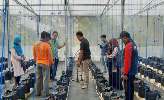 WhatsApp-Image-2022-08-26-at-10.15.30-768x354