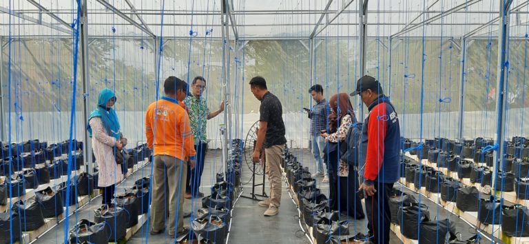 WhatsApp-Image-2022-08-26-at-10.15.30-768x354