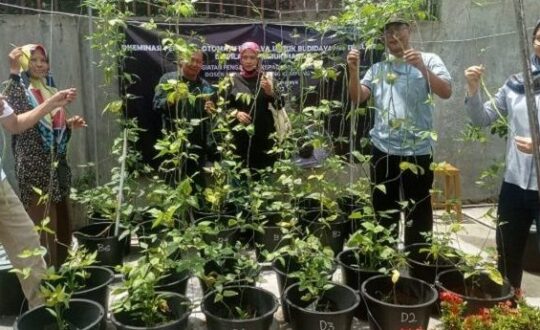 fertigasi-ipb-700x345