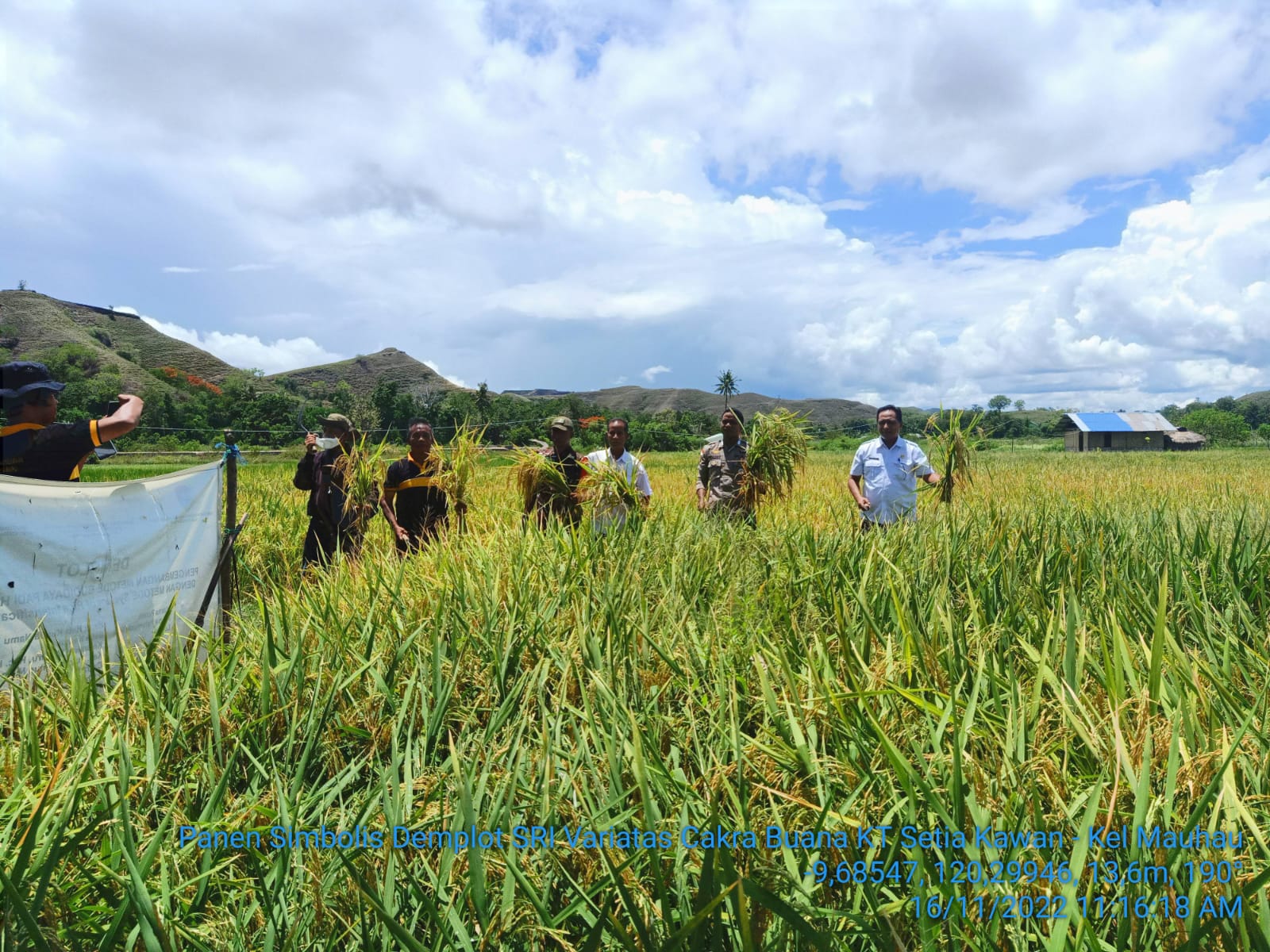 Panen-Raya-SRI-Sumba-Timur