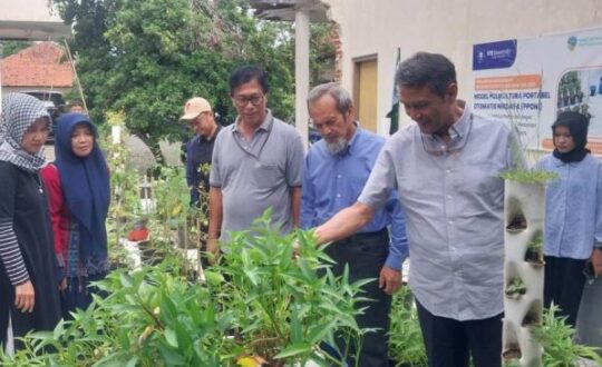 WhatsApp-Image-2025-11-28-at-11.19.19-660x365