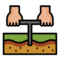 soil-sample